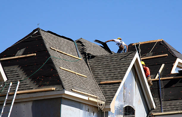 Best Roof Repair Services  in Hazen, ND