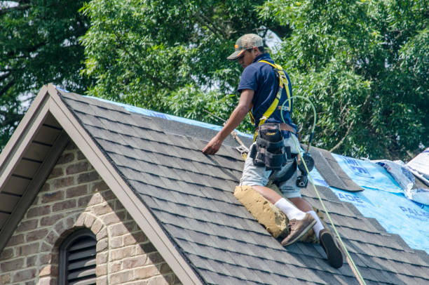 Best New Roof Installation  in Hazen, ND
